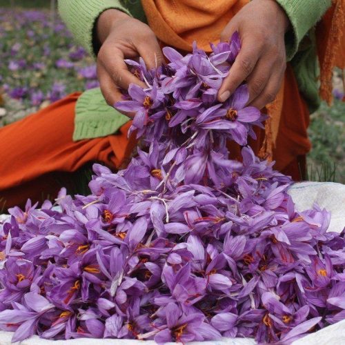 Saffron